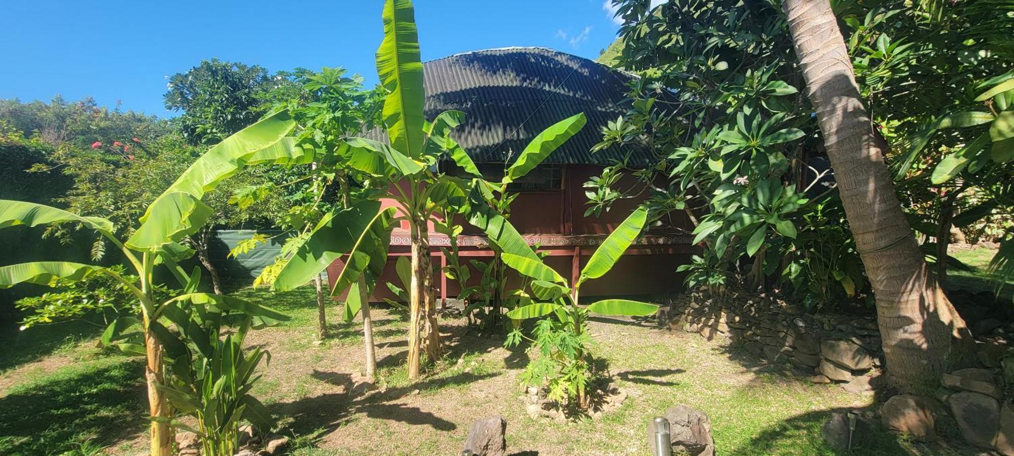 Location " La Pirogue " Maison D'Hotes A Moorea Haapiti Bagian luar foto