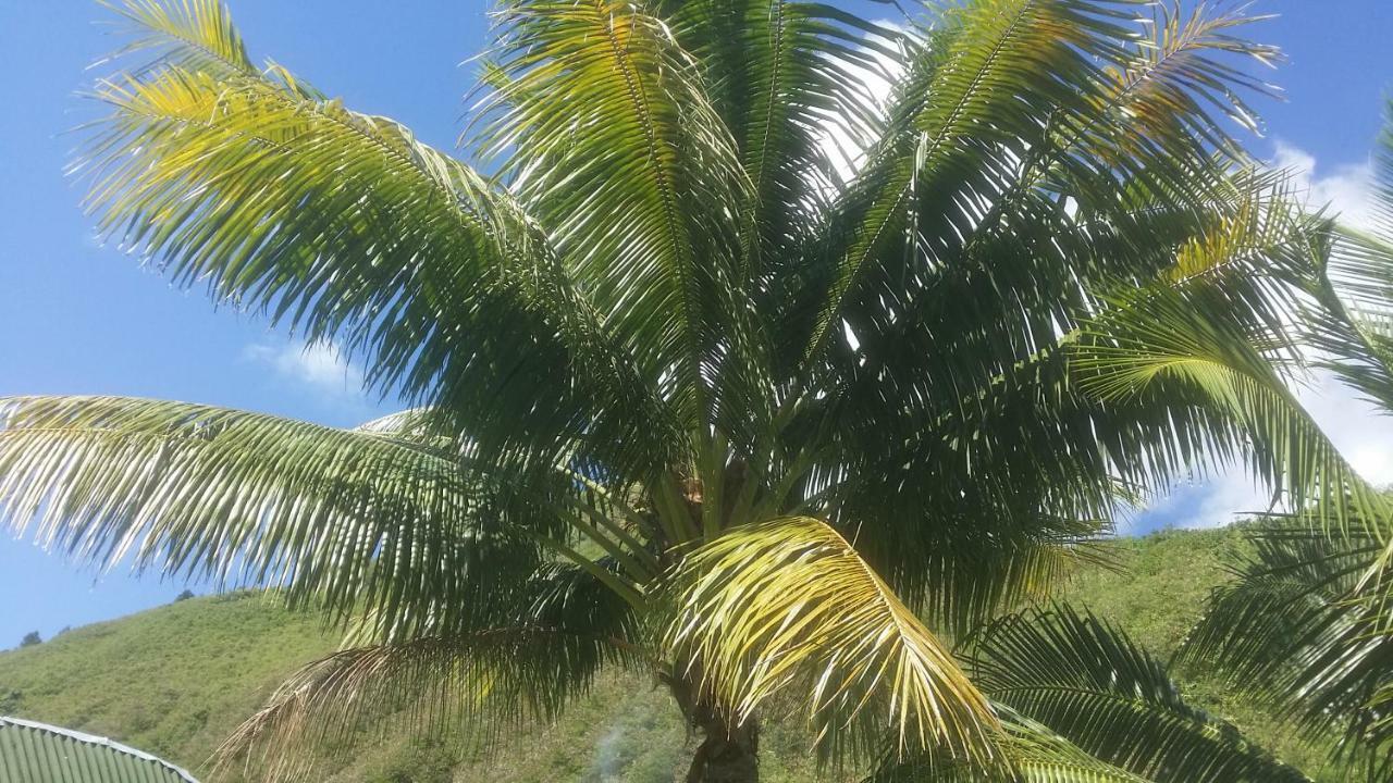 Location " La Pirogue " Maison D'Hotes A Moorea Haapiti Bagian luar foto