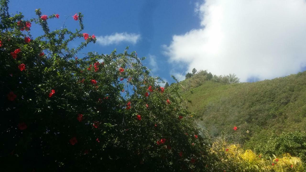 Location " La Pirogue " Maison D'Hotes A Moorea Haapiti Bagian luar foto